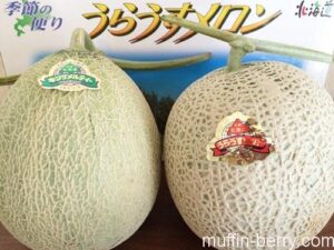 2015-07 melon2-min