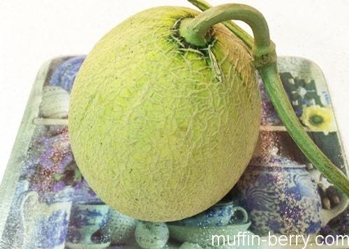 2015-07 melon6-min
