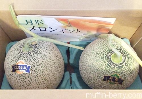 2016-07 melon2