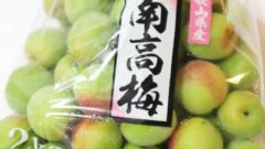 今年もジップロックコンテナで梅干し作り17 １ 準備 塩漬け 梅酢が出てくるまで 使って楽しいモノコト手帖
